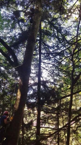 Trabzon'da paraşütçü mahsur kaldı 5