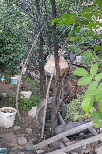 Gümüşhane'de korku dolu anlar! 7