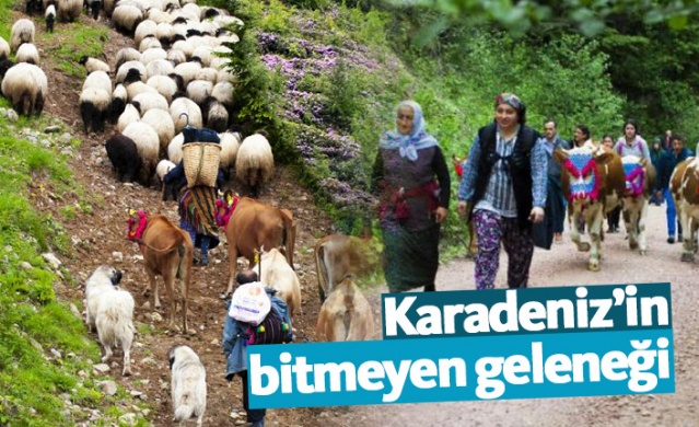 Karadeniz'in bitmeyen geleneği 1