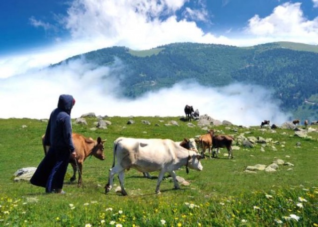 Karadeniz'in bitmeyen geleneği 3