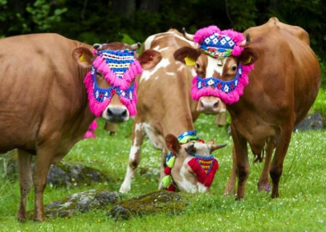 Karadeniz'in bitmeyen geleneği 4