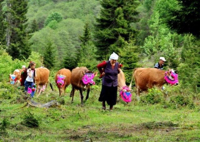 Karadeniz'in bitmeyen geleneği 11