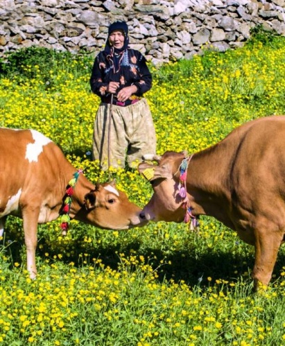 Karadeniz'in bitmeyen geleneği 10