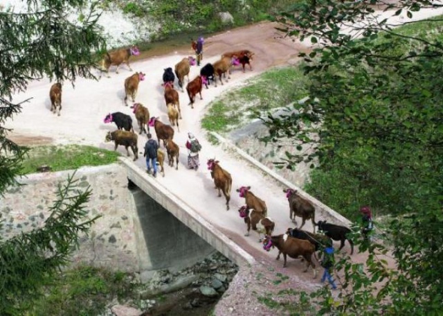 Karadeniz'in bitmeyen geleneği 8
