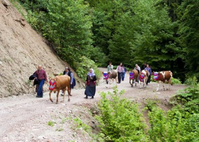 Karadeniz'in bitmeyen geleneği 9