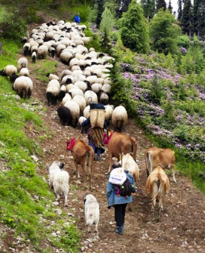 Karadeniz'in bitmeyen geleneği 15