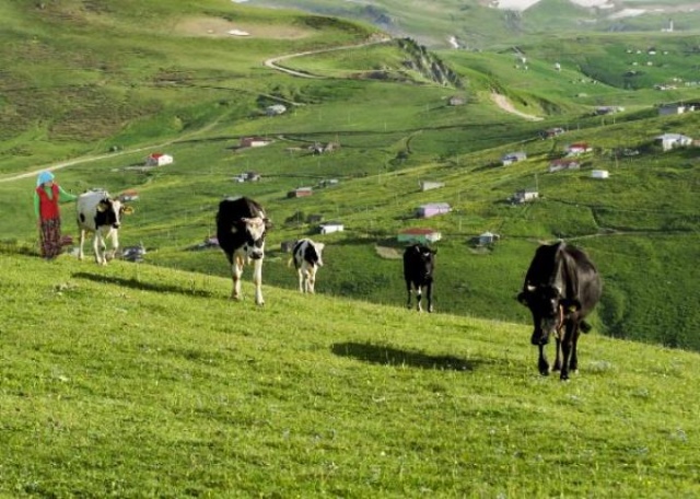 Karadeniz'in bitmeyen geleneği 7