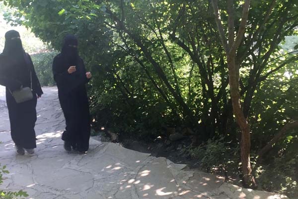 Arapların Tomara Şelalesi ilgisi 6