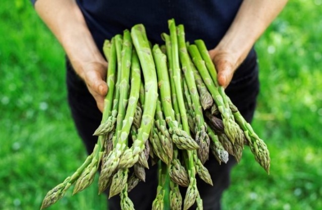 Bu besinler yedikçe mutlu ediyor 16