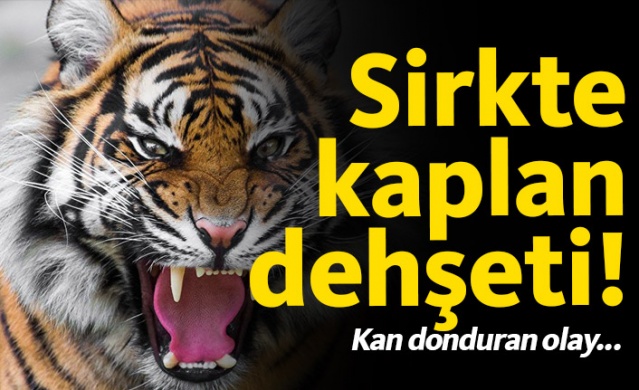 Sirkte kaplan dehşeti 1