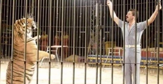 Sirkte kaplan dehşeti 2