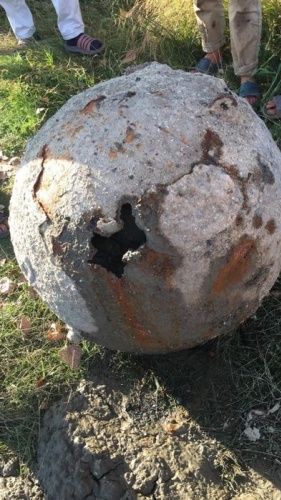 Balıkçıların ağına takılan şok etti 8