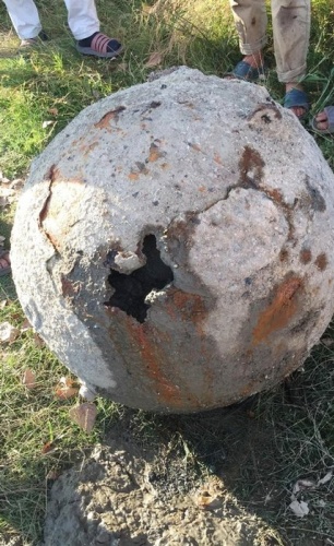 Balıkçıların ağına takılan şok etti 7