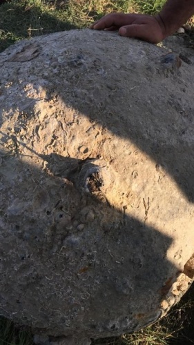 Balıkçıların ağına takılan şok etti 10