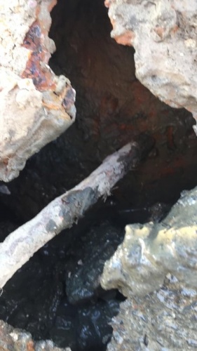 Balıkçıların ağına takılan şok etti 2