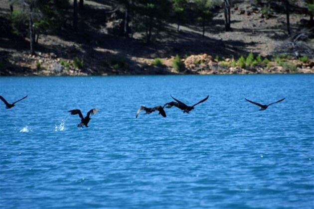 Türkiye'nin gizli cenneti: Nadire Kanyonu 13