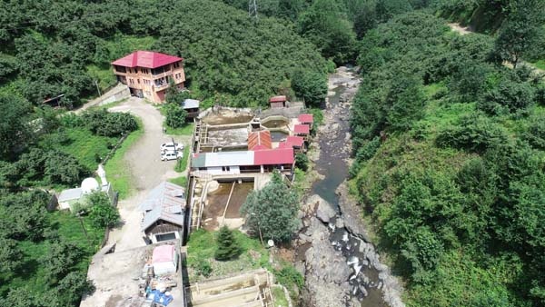 Trabzon'da 150 bin balık telef oldu, 300 bin TL’lik zarar oluştu 11