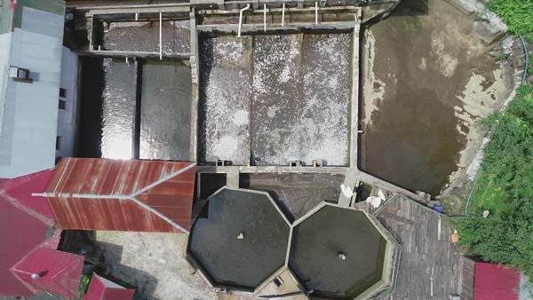 Trabzon'da 150 bin balık telef oldu, 300 bin TL’lik zarar oluştu 6