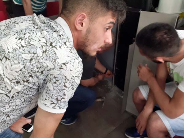 Rize’de kedi kurtarma operasyonu 3