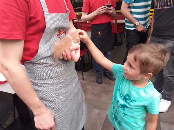 Rize’de kedi kurtarma operasyonu 6