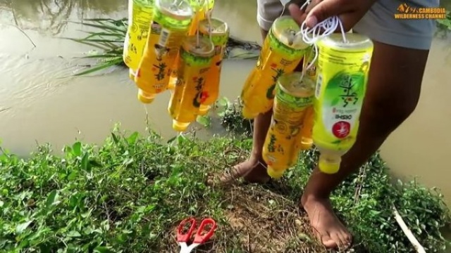 Birbirinden ilginç balık avlama yöntemleri 6