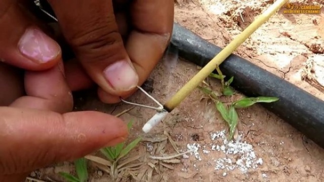 Birbirinden ilginç balık avlama yöntemleri 10