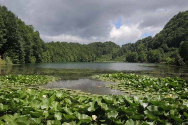 Türkiye'nin en uzun ömürlüleri Ordu Gölköy'de 7