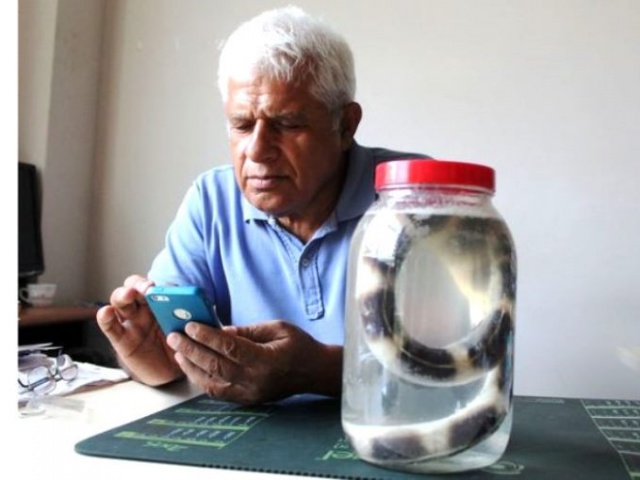 Balıkçıları korkutan av! 4