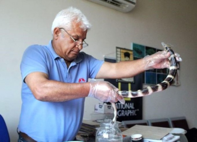 Balıkçıları korkutan av! 3