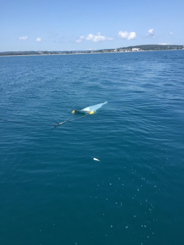 Karadeniz’de 'mikroplastik kirliliği ve etkileri' araştırılıyor 4