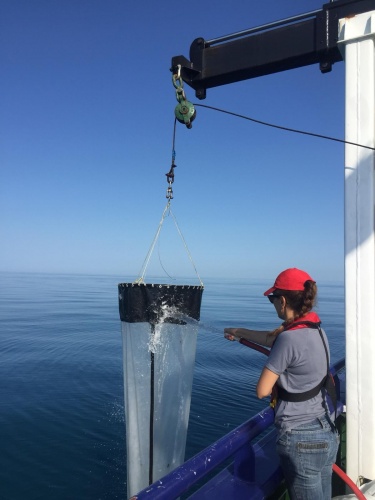 Karadeniz’de 'mikroplastik kirliliği ve etkileri' araştırılıyor 2