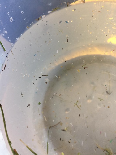 Karadeniz’de 'mikroplastik kirliliği ve etkileri' araştırılıyor 5