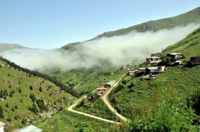 'Keçi inadı bu' evi ortadan ikiye bölüp 4