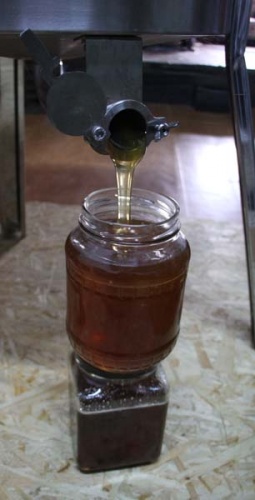 Rize'de arıcıların zorlu mesaisi başladı 2