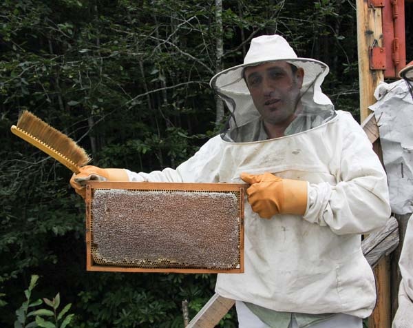 Rize'de arıcıların zorlu mesaisi başladı 6