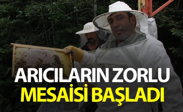 Rize'de arıcıların zorlu mesaisi başladı 1