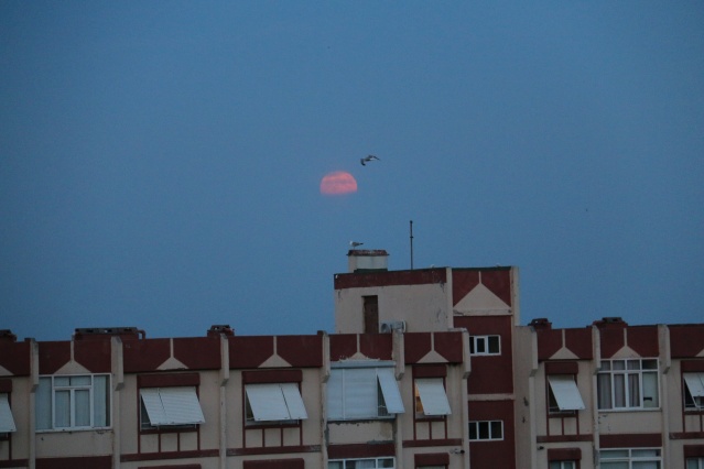 Parçalı ay tutulması böyle görüntülendi! 9