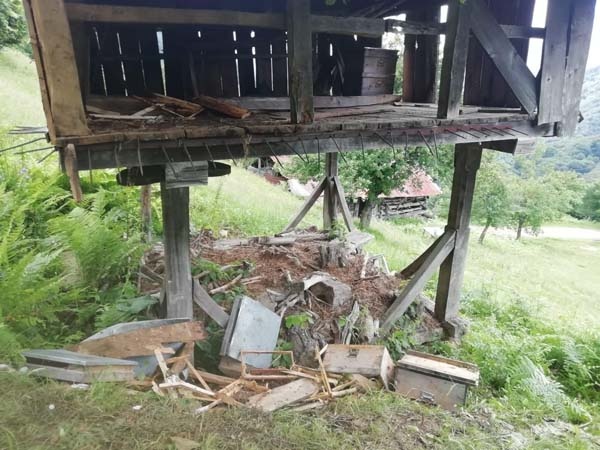 Rize’de aç kalan ayılar kovanları parçaladı 6