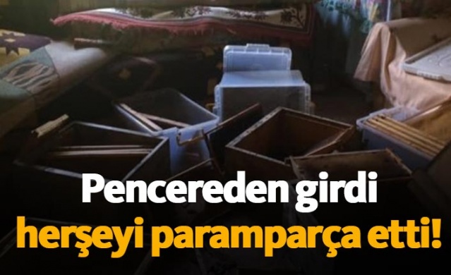 Pencereden girdi evdeki herşeyi parçaladı 1