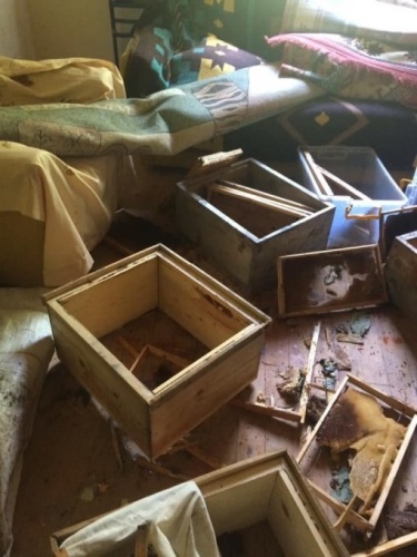 Pencereden girdi evdeki herşeyi parçaladı 3