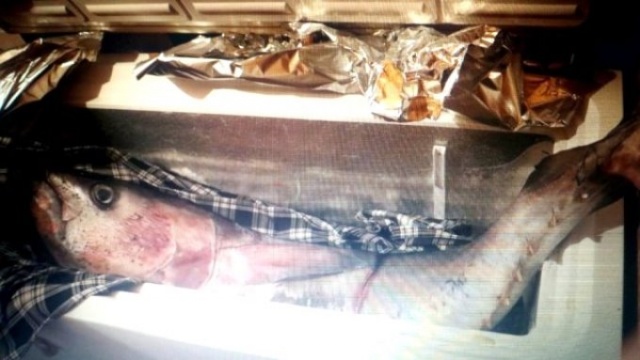 Sahilde bulup eve götürdü ekipler kapıya dayandı 3