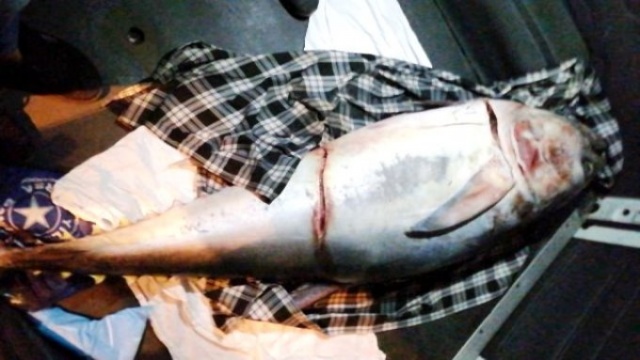 Sahilde bulup eve götürdü ekipler kapıya dayandı 2