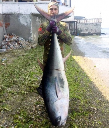 Sahilde bulup eve götürdü ekipler kapıya dayandı 4