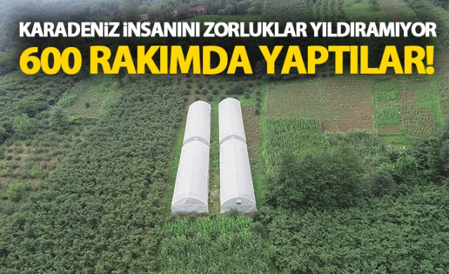 Karadeniz insanının zorlukları bitmiyor 1