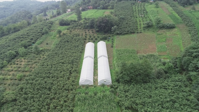 Karadeniz insanının zorlukları bitmiyor 11