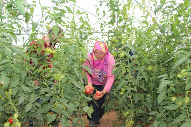 Karadeniz insanının zorlukları bitmiyor 4