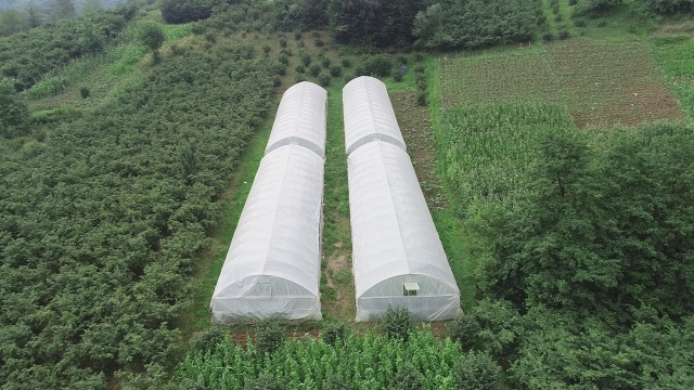 Karadeniz insanının zorlukları bitmiyor 13