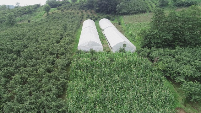 Karadeniz insanının zorlukları bitmiyor 9