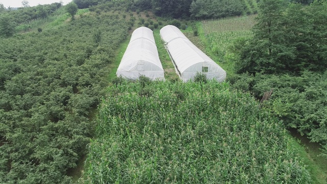 Karadeniz insanının zorlukları bitmiyor 8