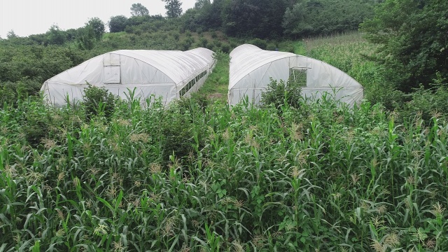 Karadeniz insanının zorlukları bitmiyor 14